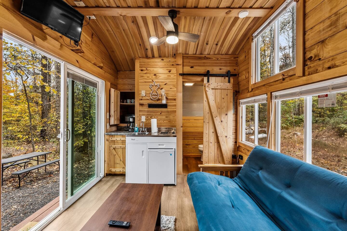 Beach Pod near Lydia Mountain - thumbnail 2