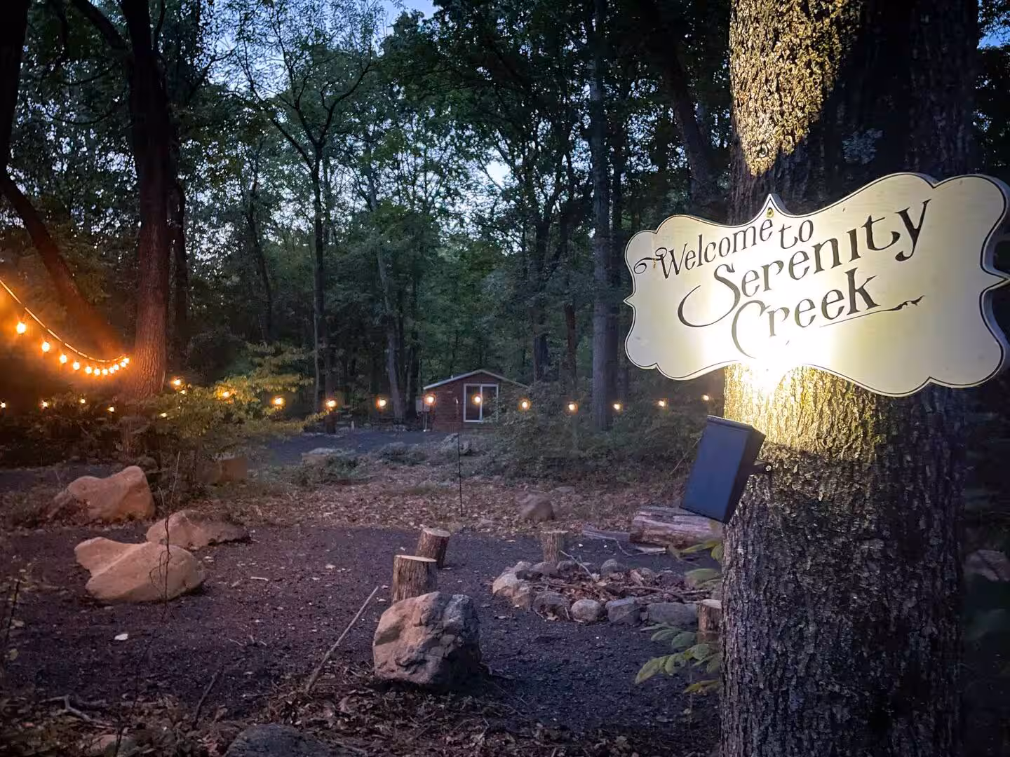 Serenity Creek Main Cabin near Lydia Mountain - thumbnail 23