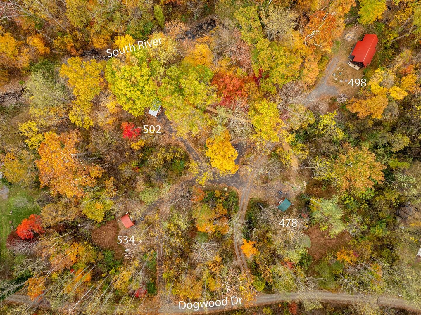 Rainforest Pod near Lydia Mountain - thumbnail 9