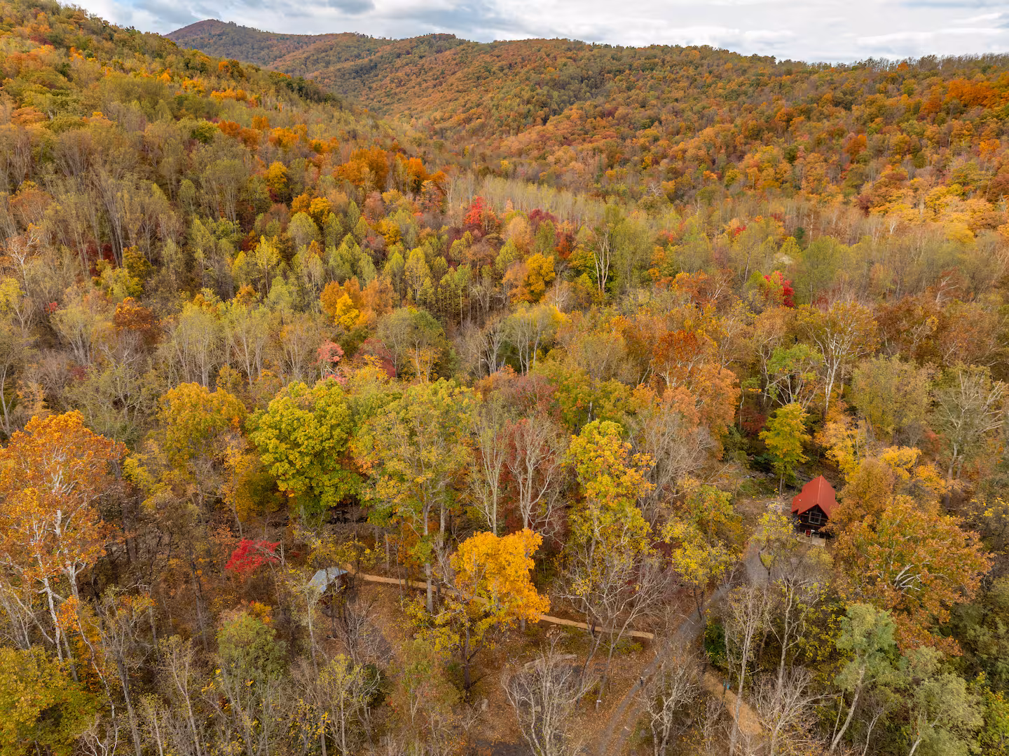 Serenity Creek Village — Entire Property near Lydia Mountain - thumbnail 16
